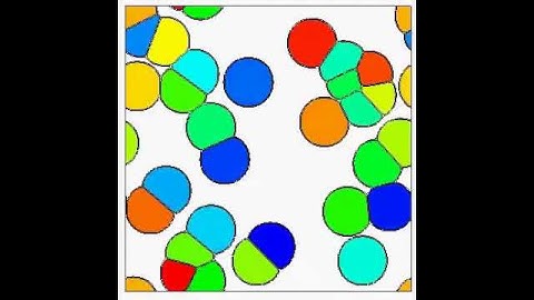 2D multi-phase-field simulation of polycrystalline grain growth