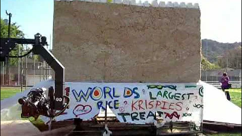 Guinness World's Record Largest Rice Krispies Treat - Mega Bites