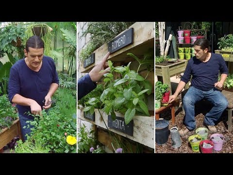 Video: Ubicación de jardines de hierbas: dónde colocar un jardín de hierbas
