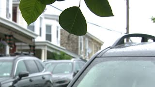 Surveillance video catches group targeting unlocked cars in Philly Net Worth