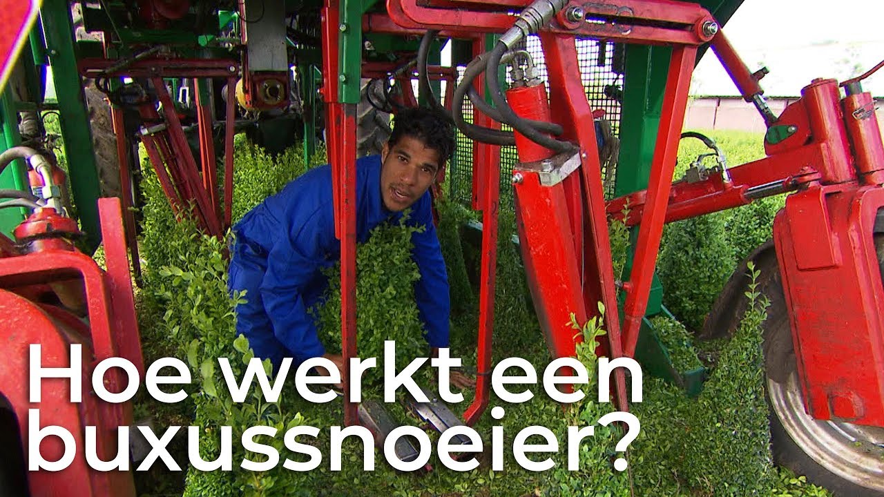 Hoe werkt een buxussnoeier? | Boer zoekt Machine | Het Klokhuis