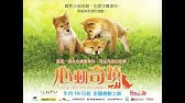 映画 マリと子犬の物語 予告 出演 船越英一郎 松本明子 Youtube