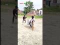 cricket stail 😁 | Desi funny short | @nrsoni09 #explore #funny #comedy #youtubeshorts