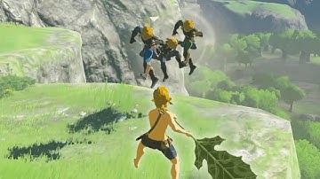 The FIRST THING Linkus Does in BotW Multiplayer