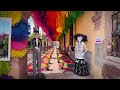 RECORRIDO SILENCIOSO: JARDÍN DE LA PURÍSIMA 🌿🌸