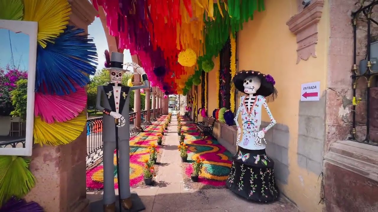 RECORRIDO SILENCIOSO: JARDÍN DE LA PURÍSIMA 🌿🌸