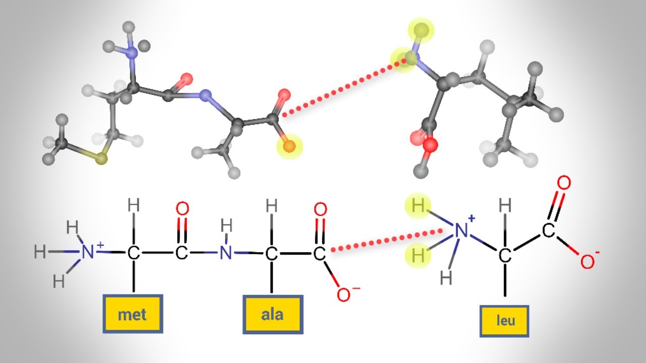 Wende diese 5 geheimen Techniken an, um steroide bestellen zu verbessern