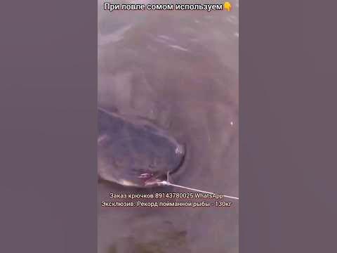 тройники на сома - YouTube