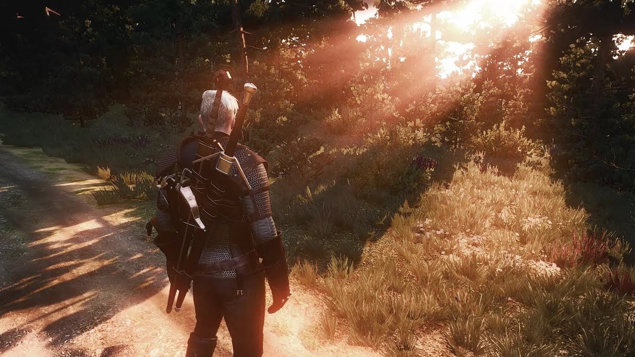 THE WITCHER 3 MOD Skilled Humans YouTube