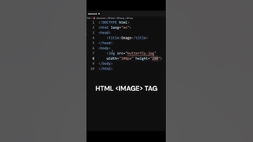 Design Like a Pro: HTML Image Tag Tips and Tricks for Stunning Websites !