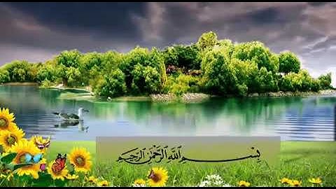 سورة الرحمن | تلاوة تريح القلب والعقل ♡ |   القارئ عبد الجليل الزناتي