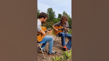A Django Reinhardt tune called Minor Swing 🌿 #jazz #gypsyjazz #guitar #jazzguitar #djangoreinhardt