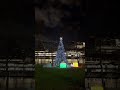 Gorgeous Christmas Tree in Roosevelt Island, New York 🎄