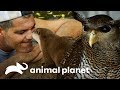 Animales que viven en la Fundacin de Frank | Wild Frank: Al rescate | Animal Planet