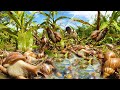 best videos fishing! pick a lots of black clams &amp; catch snails by best hand a fisherman skill