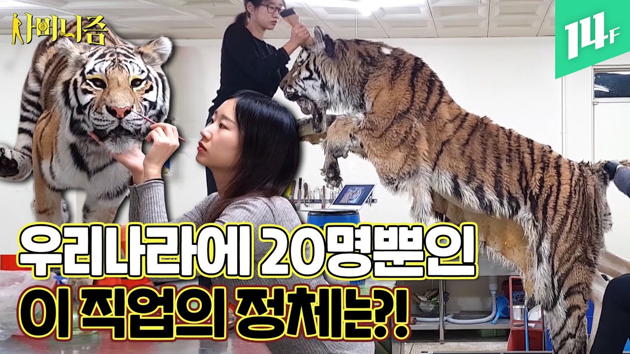 1년에 1명 뽑힐까 말까한 대한민국 0.0001% 직업, 동물 박제사! / 14F