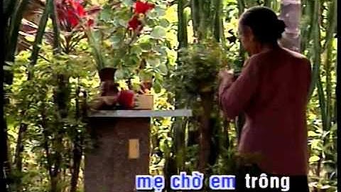 Xuân Này Con Không Về | Chế Linh | Chế Linh Official