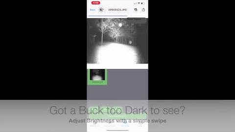 Best Trail Camera iPhone SD Card Reader