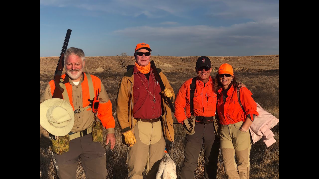 There They Go! Oklahoma Quail Hunting YouTube