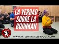 La verdad sobre la bujinkan  ninjutsu   the truth about the bujinkan  ninjutsu 