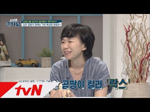 COOLKKADANG 집안 곰팡이 없애는 가장 확실한 방법은 락스? 160720 EP.179