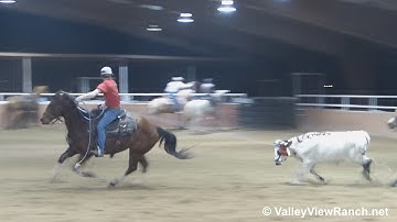 LB Smart Chic - roping #4 - ValleyViewRanch.net