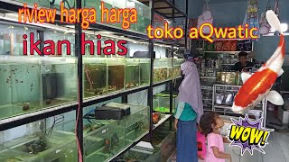 REVIEW HARGA IKAN HIAS DI TOKO IKAN HIAS AQWATIC