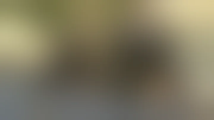 Boko Haram suspected in deadly Nigeria attack