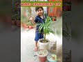 #plantation## on# Environment# day