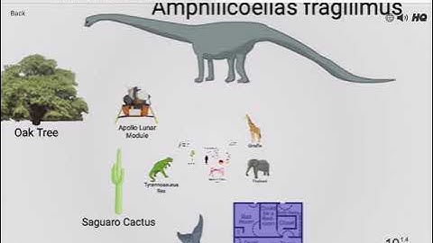 From the observable universe to Planck length