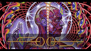 Famous TOOL - REFLECTION Wealth