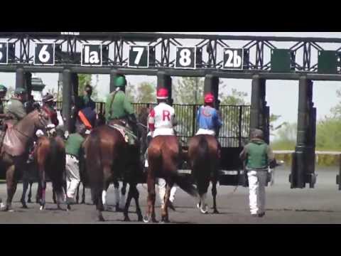 April 2013 at Keeneland - Loading The Gate On The front Stretch !