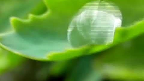 Assignment 4 YouTube Video