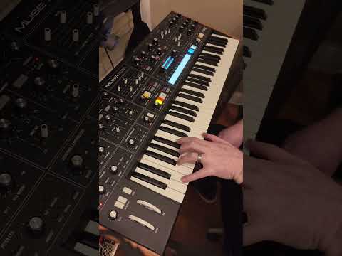 #beatober Day 3. Empty Streets #moogmuse