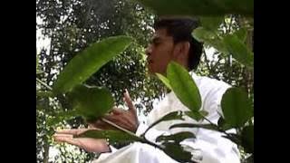 Kenangkan