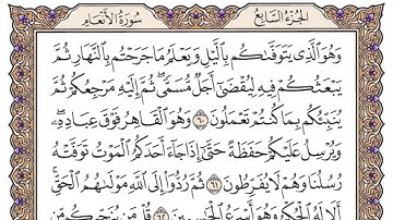 سورة الأنعام الصفحة 135 من القرآن للشيخ ياسر
