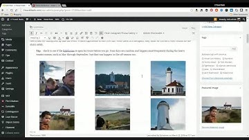 Yoast & Post:  tutorial and tips for building stronger, searchable blog posts