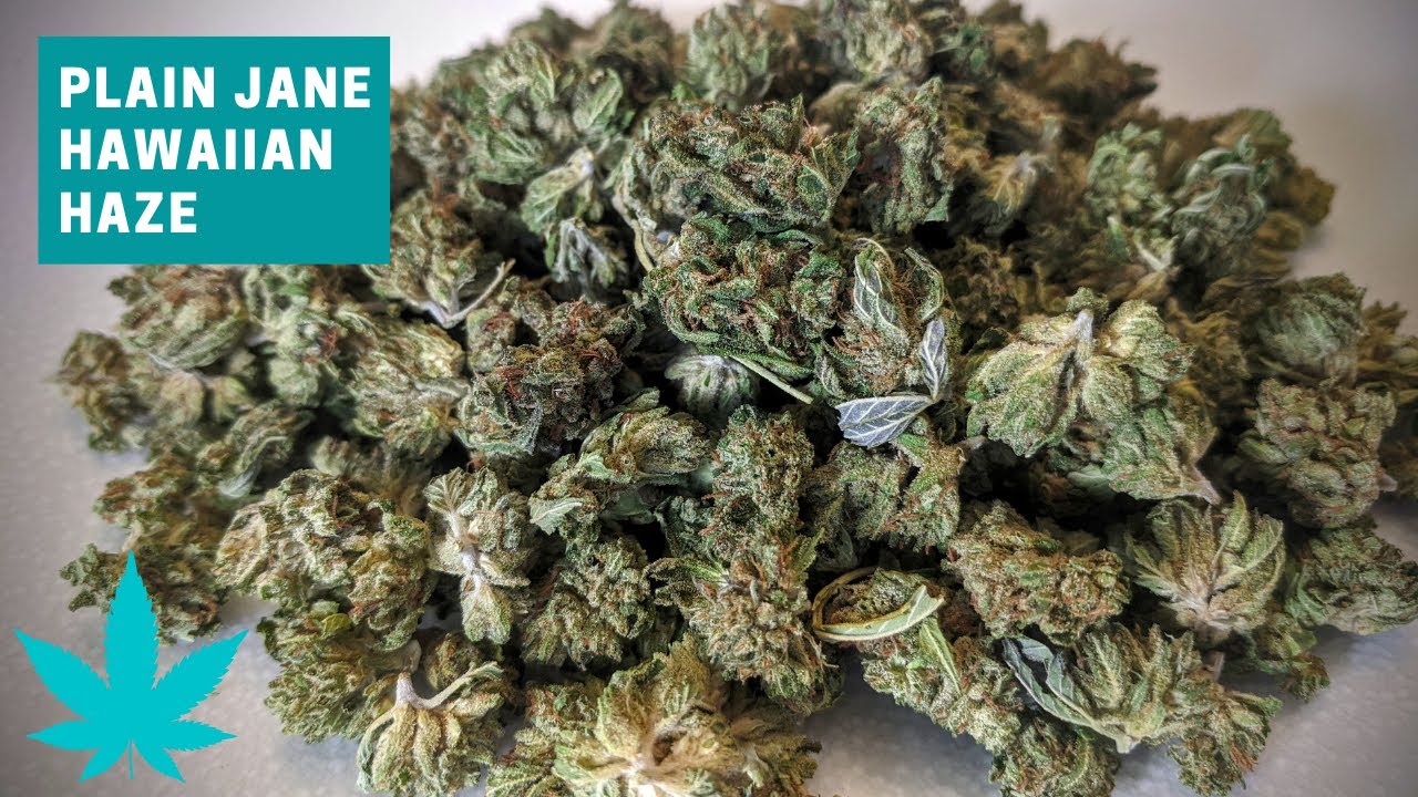 Hawaiian Haze CBD Hemp Smalls Review (Plain Jane)