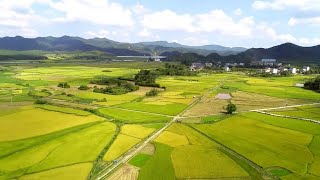 China's 14th Five-Year Plan drives breakthroughs in seed science and food security screenshot 4