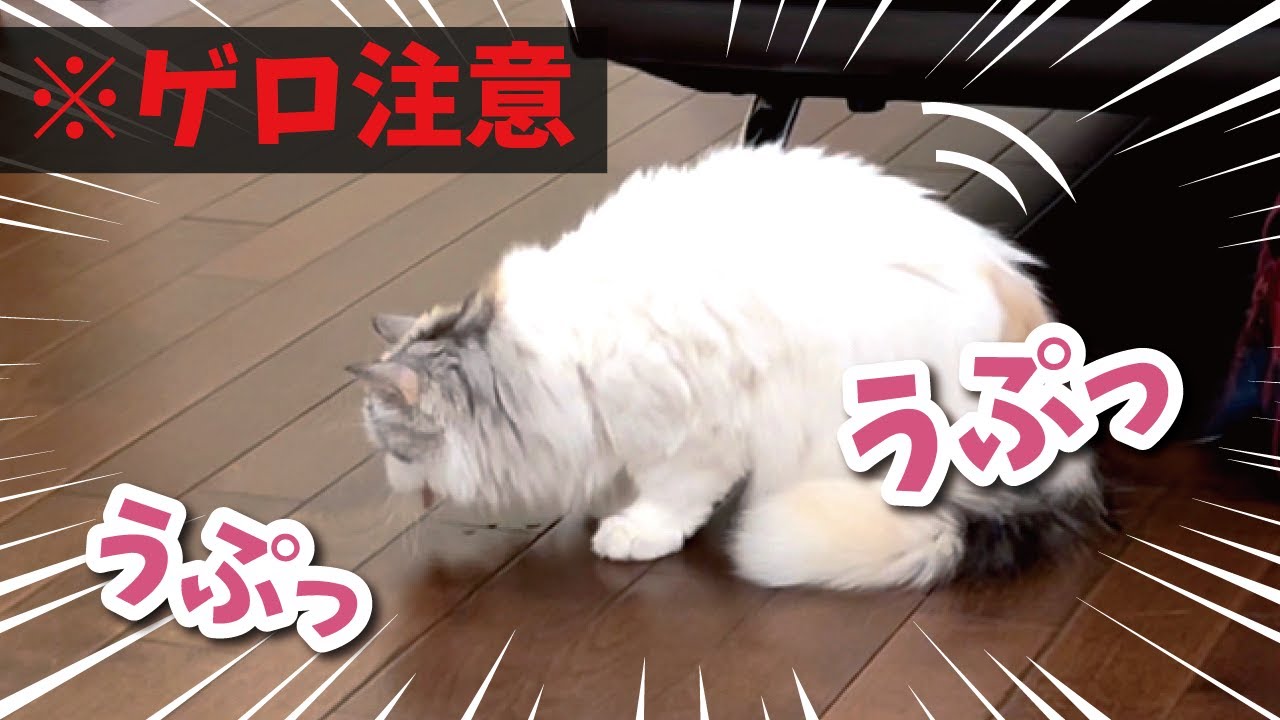ゲロ注意】つくしがすごいものを吐いてしまいました…【関西弁で
