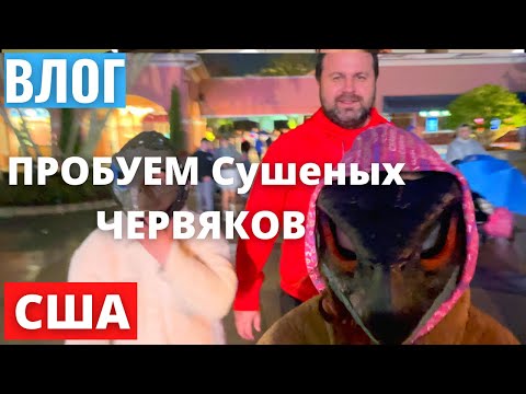 #504 США-Влог-Отдых с