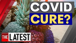 Breakthrough treatment: Could pineapples be the key to a COVID19 cure? | 7NEWS
