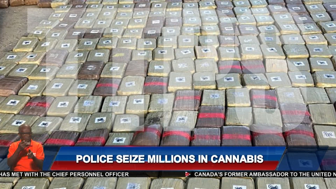 Изъята высококачественная марихуана на сумму 102 миллиона тринидадских долларов.