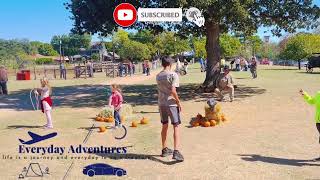 Nash Farm | Fall Events | Fall Events at Nash Farm | Grapevine Texas #nashfarm #fallevents