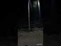 deers nite view இரவில் மான்கள்