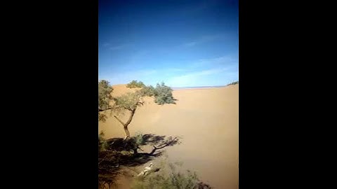 Thumbnail of Winds of Sahara