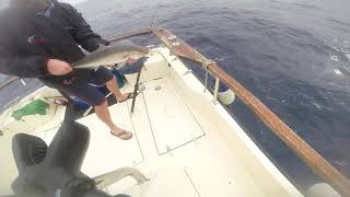 Amberjack Fishing from Malta. Offshore fishing in the Mediterranean