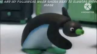 Ie And My Follwers When Gacha Gacha Heat Is Slow Ing Dying Pingu