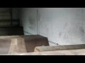 Circus Skatepark BMX