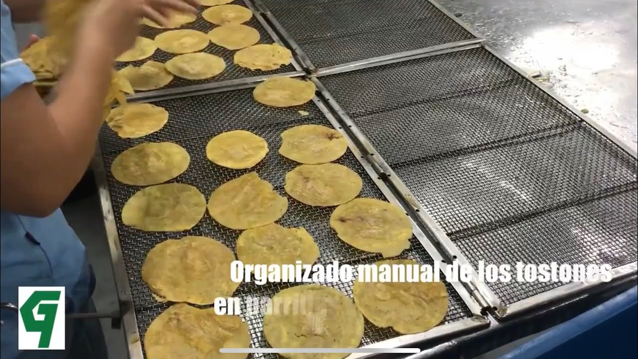 Línea de procesamiento de patacones/tostones en chip